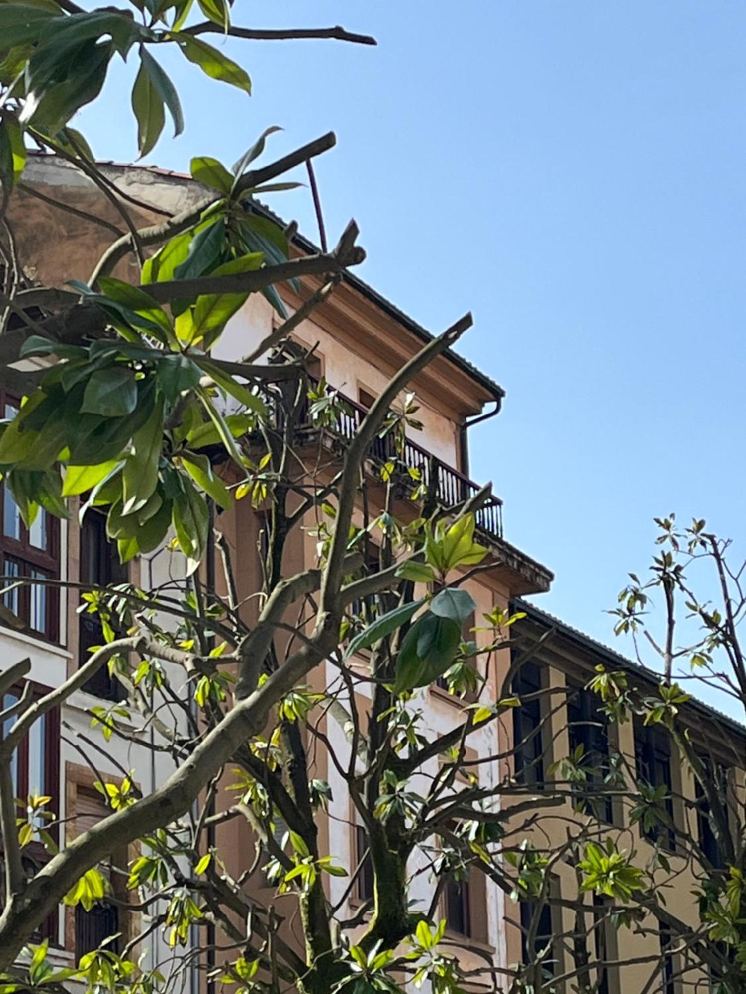 Apartamento Salsipuedes-La Catedral Ов'єдо Екстер'єр фото